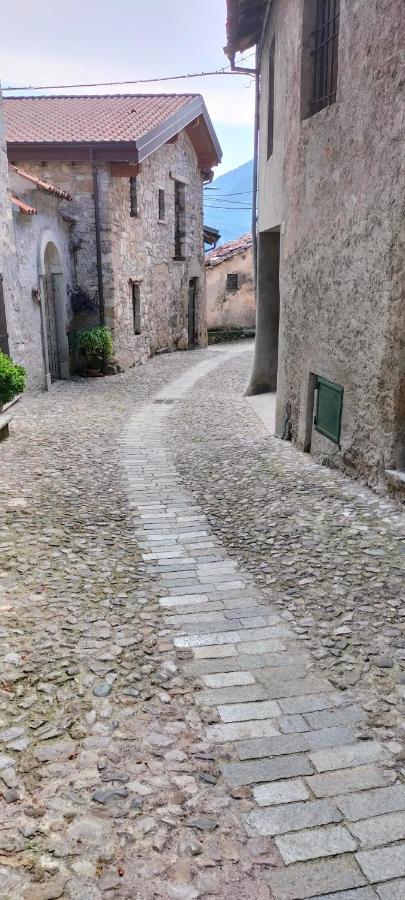 La Cascina Della Vigna Del Viandante Βίλα Abbadia Lariana Εξωτερικό φωτογραφία